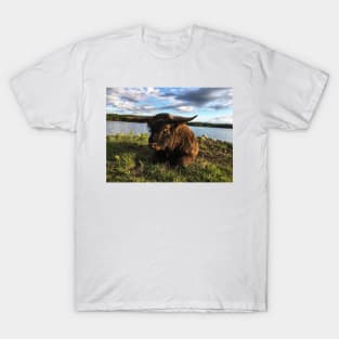 Scottish Highland Cattle Bull 1791 T-Shirt
